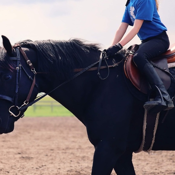 Elation Platinum Breeches, Full seat, show breeches, kids size 6 - Picture 3 of 10